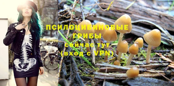 индика Алзамай