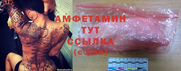 индика Алзамай