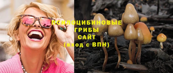 индика Алзамай
